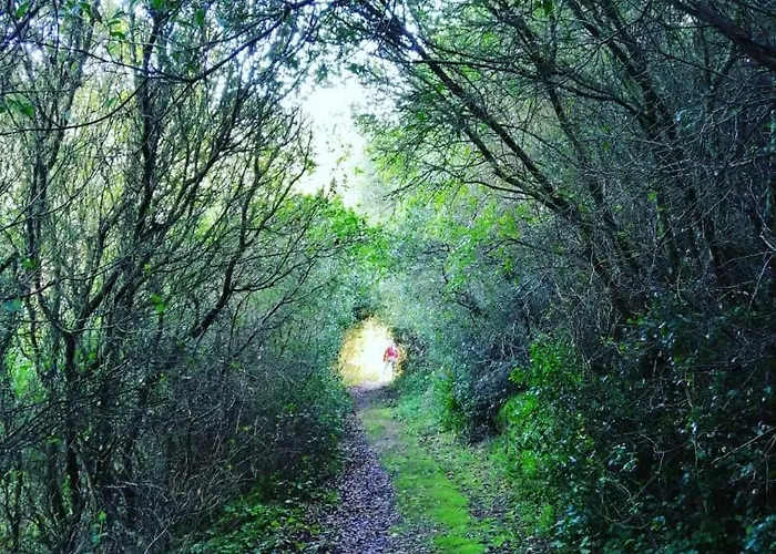 Furnaka Eco Village Affittacamere