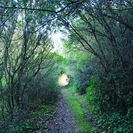Furnaka Eco Village Casa de hóspedes