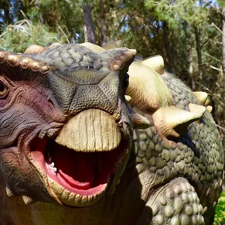 Casa de hóspedes Furnaka Eco Village *